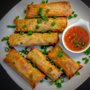 Veg Spring Rolls