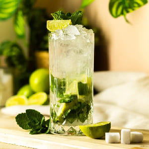 Virgin Mojito Fresh Lemon Chunkes With Mint Leaf amp Crushed Ice